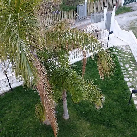 Attico Con Super Vista *